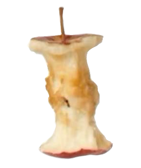 a yellowed apple core